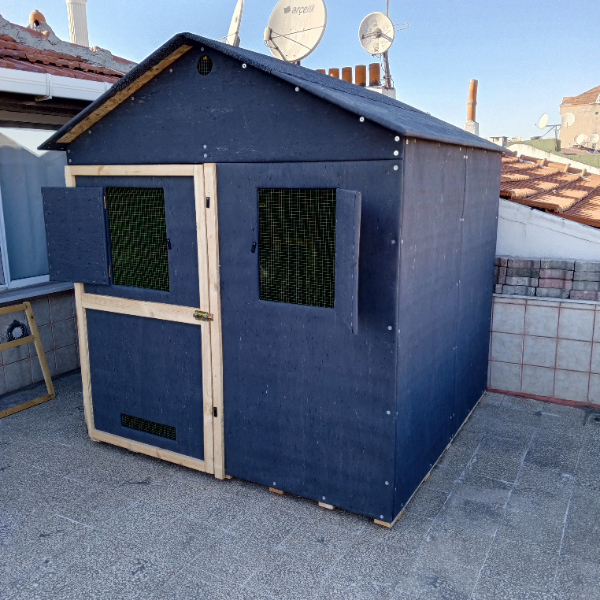 Beşi̇ktaş Güverci̇n Kümesi̇